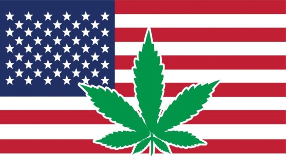 smilehighcomedy's tweet photo. speaking of weed,"
I Pledge allegiance
to the flag
of the untied state of CANNABIS
and to the re: Public
for which it stands
one nation
under pot
in doobie'd y'all *
with edibles
and flowers
FOR ALL!
#JsAyN #MyYallHigh #sMileHighCOmedy https://t.co/HDBjRutGFT