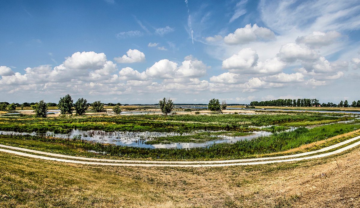 The Dutch made a country from the sea, and drained our wet bits. They have wetlands as part of water management.