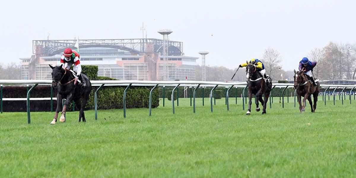 Jour de Galop (@jour_de_galop) on Twitter photo Super perf d'UNIKETAT (Vision d'Etat) pr ses premiers pas sur le gros parcours du cross palois. Il devient l'un des favoris du Grand Cross ! <a href="/HDL_racing/">Hector de LAGENESTE</a> 📸 R. Polin Super perf d'UNIKETAT (Vision d'Etat) pr ses premiers pas sur le gros parcours du cross palois. Il devient l'un des favoris du Grand Cross ! <a href="/HDL_racing/">Hector de LAGENESTE</a> 📸 R. Polin