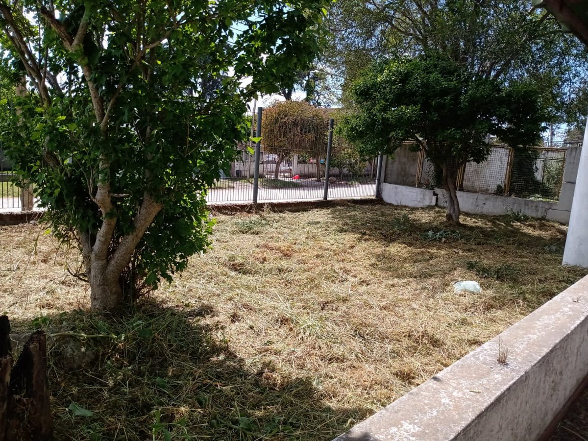 DelegPuertoMGP's tweet photo. 🚧🚜 Realizamos tareas de mantenimiento y corte de pasto en la Escuela Municipal N° 10📌 Barrio Juramento. #tenemostodo @gmontenegro_ok @nicolauria @munimardelplata https://t.co/B4odkkQMcu