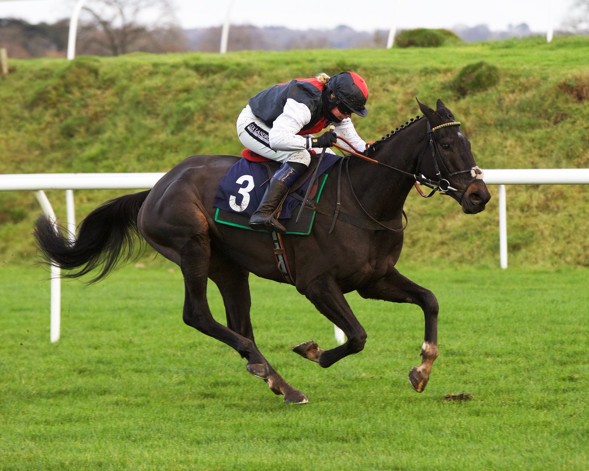 Chepstow_Racing's tweet photo. Race 3 Result - A Bookworm's Paradise https://t.co/Ps8Zf5NRXQ Handicap Hurdle

🥇 Exploiteur 4-5F
🥈 Gustavian 3-1 
🥉 Trixster 9-1

Jockey: @pinch1234 

Trainer: @McPhersonRacing 

Owner: Shaw Racing Partnership 2 https://t.co/bEEV1ghkh1