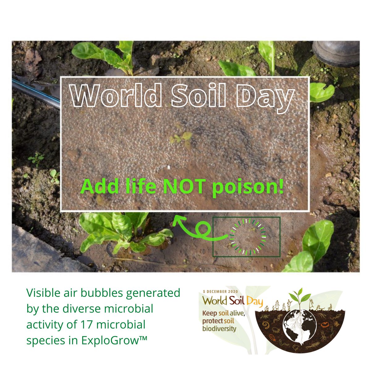ExploGrow's tweet image. Happy World Soil Day! 

#WorldSoilDay #WorldSoilDay2020 #WorldSoilsDay #explogrow