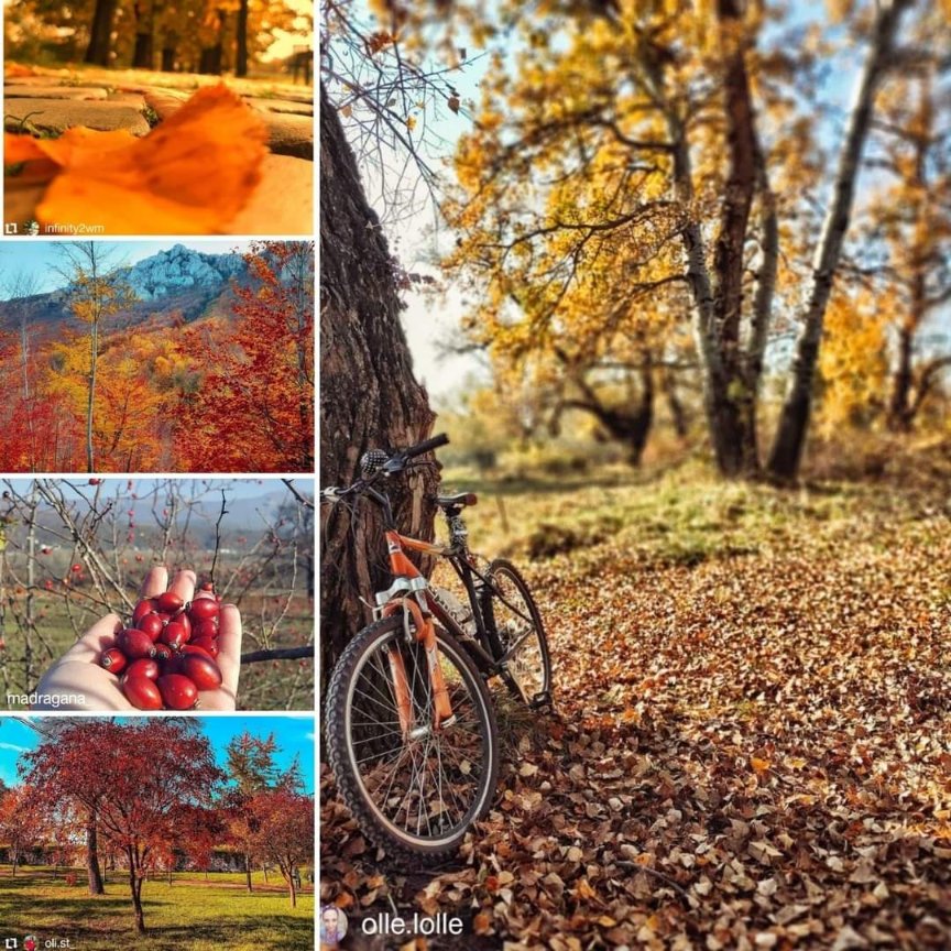 Zlatna jesen. Pirot, Suva planina, Niš #jesen2020 
.
#wheretoserbia #autumntime #autumndays #autumndecor #autumncolors #autumn #autumn2020 #jesen🍁 #jesenjeboje #jesen