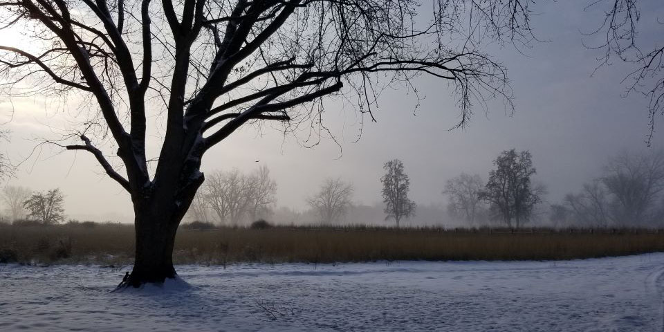 Fog blankets the fields, frost encases the trees, and the days have grown short. This is the time of year that Tílewkeyˀkt's band would gather here at weyiíllet, enjoying the comparative warmth of the valley. Year after year, this area was home throughout the winter.