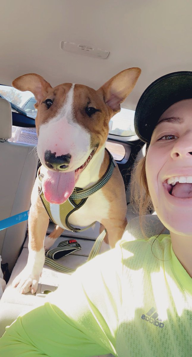 Nothing like a weekend with great weather and my boys! Milo is almost 5 and Neyland is 5 months! 🐶🐶 #bullterrier #outnumbered