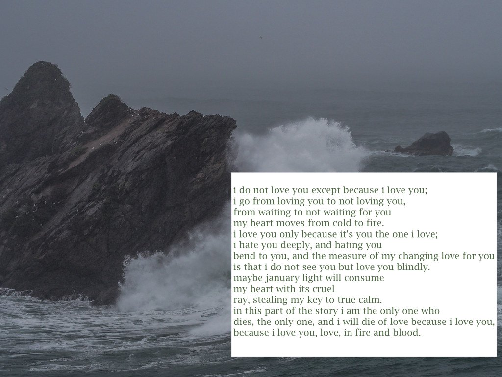 gilbert blythe: "i do not love you except because i love you" by pablo neruda