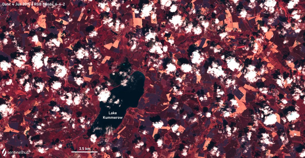 KatjaKuhwald's tweet photo. @sentinel_hub @EGU_TC 6/24 Personal #LakesFromSpace with #Landsat8 from @sentinel_hub
Lake Kummerow/Germany: my cloudy #PhD lake, where I got addicted to aquatic #remotesensing. Had my first own #FieldCampaign on this day🌤️the summer was productive: paper about #AlgalBlooms
https://t.co/Ro2yt5J5Qd https://t.co/9MJsd9VLUB