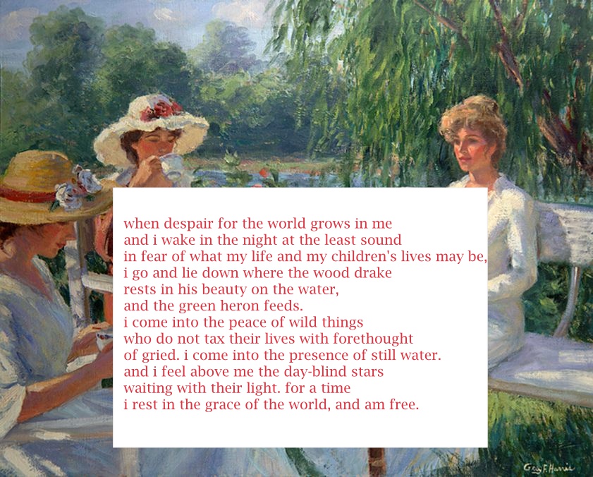 rachel lynde: "the peace of wild things" by wendell berry