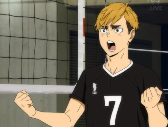 How to make your Twitter bisexual!! A thread: