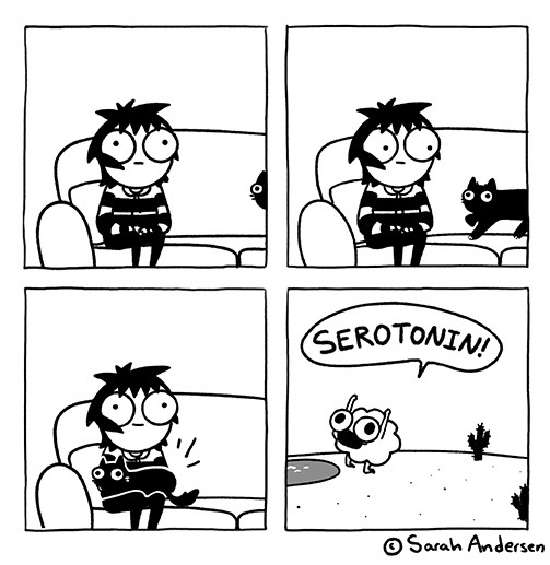 SarahCAndersen's tweet image. 