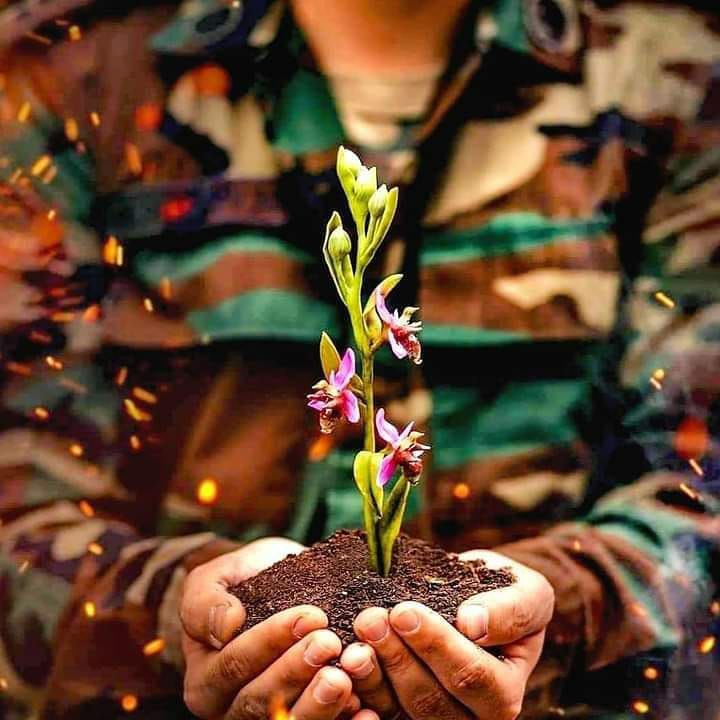 nailfabdullayev's tweet photo. Khari bulbul flower the symbol of Azerbaijan's Karabakh region. Flower which symbolised peace and love and longining.
Today Khari bulbul turned to the symbol of fallen soldiers that gave their lives for Homeland during 2nd Karabakh War.
#VictoriousAzerbaijaniHeroes
#2783 https://t.co/SeHtqIvAIg