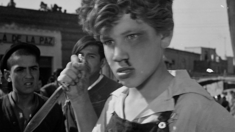 BoucharaCharly's tweet image. #SondageMexique @tbarnaud 
#LosOlvidados (1950) mon premier film de #LuisBunuel vu au ciné-club de #Palaiseau (en 1967 ?) 
Une fresque tragique qui a longtemps hanté le gamin que j'étais. Sublime.

Mon 2e serait #AmoresPerros (2000) de #Inarritu