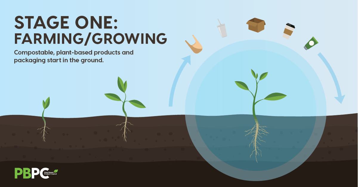 Many crops are converted to plant-based materials and products: