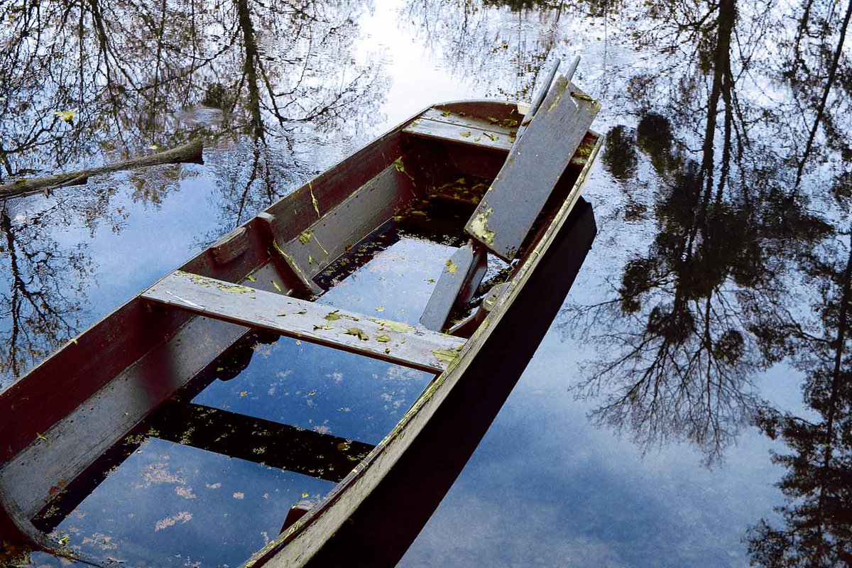 Am #Altrhein #Karlsruhe
#Naturfotografie