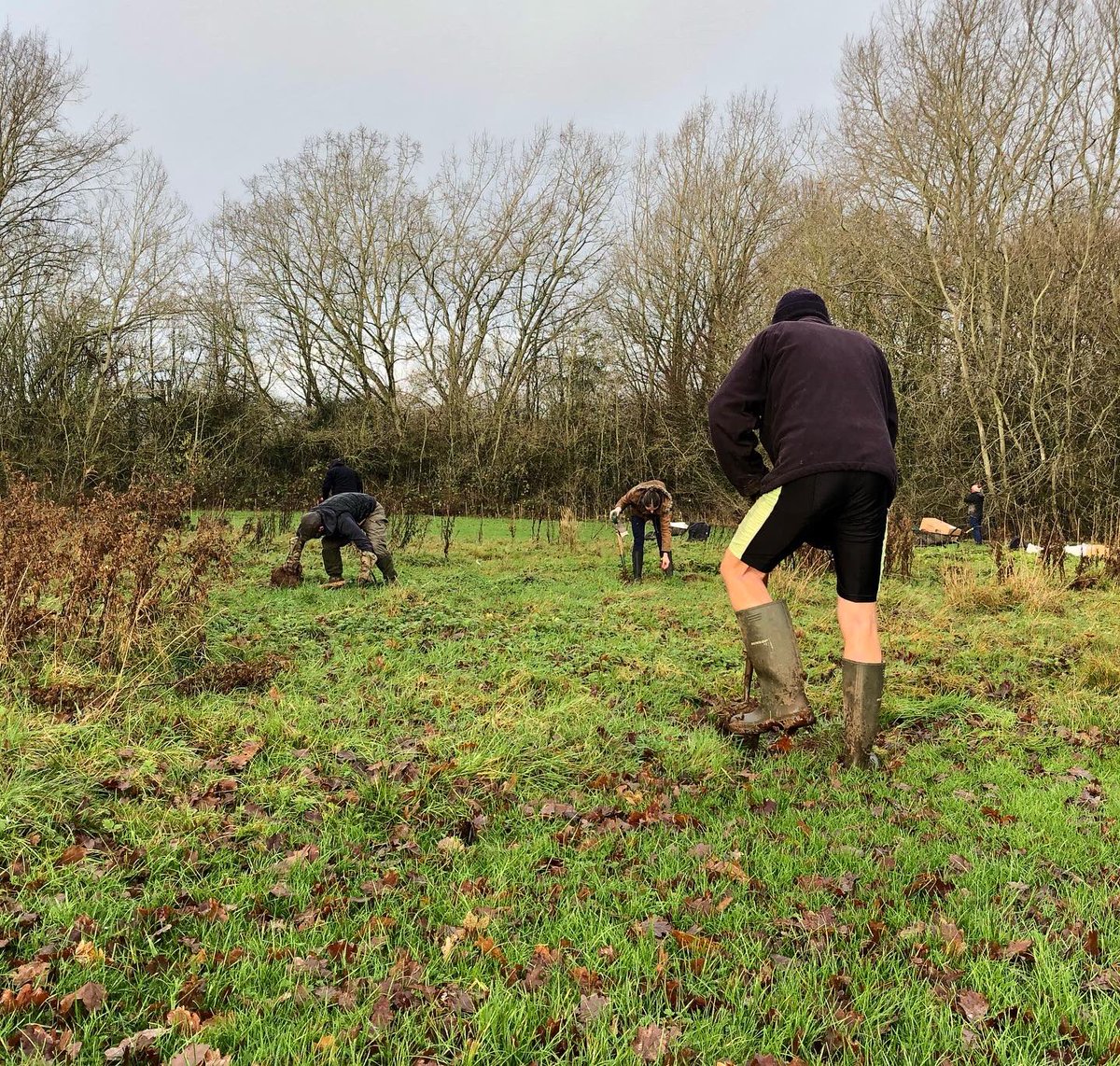 Derby Parks tweet media