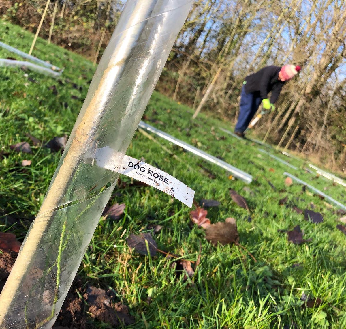 Derby Parks tweet media