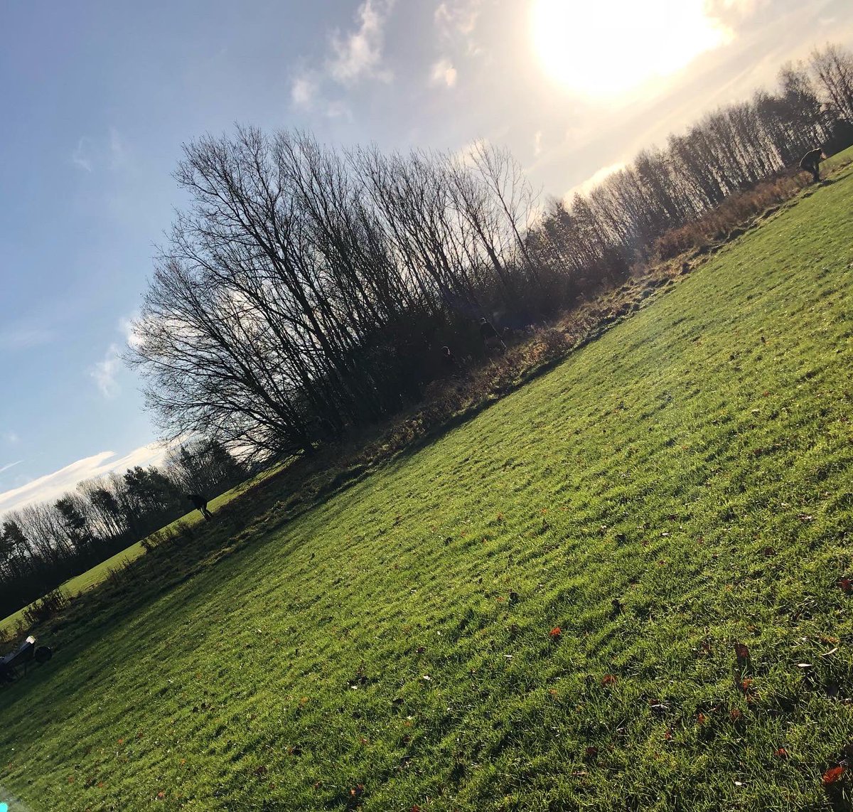 Derby Parks tweet media