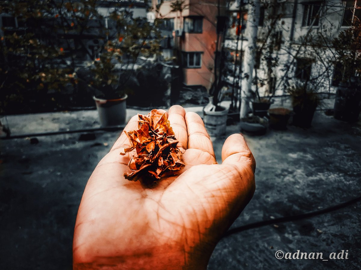 AdnanAdi007's tweet photo. শহরে শীত করেছে ভীড় https://t.co/zKwZOwdyJ0