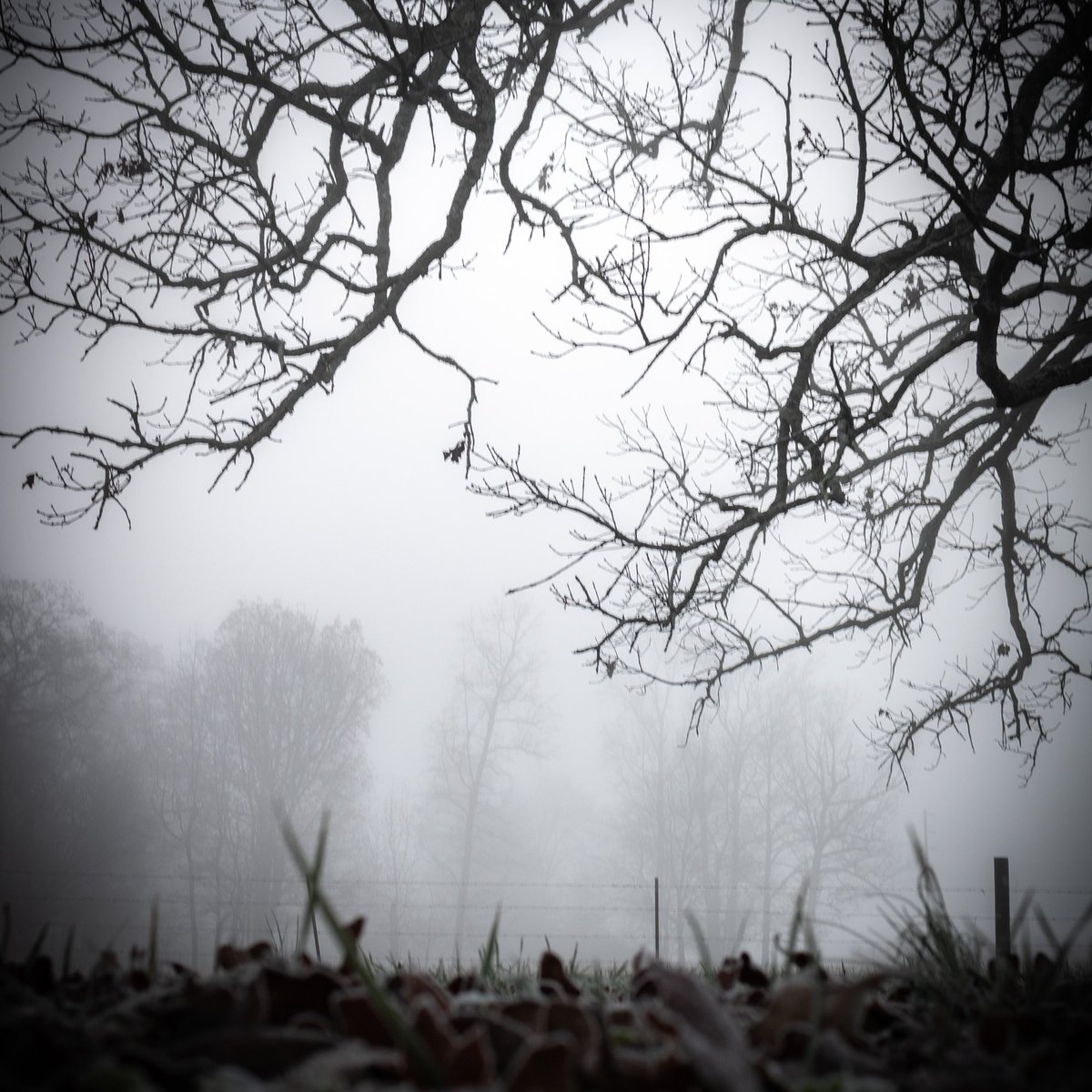 Hazy morning.  #beautifulscenery #landscape #amateurphotography #rural #landscapephography #tennessee #winter #winterphotography #winterintennessee #photography #naturephotography #naturelover #beautiful #art #creativity #photographer #artist #pictureoftheday #earth #fineart