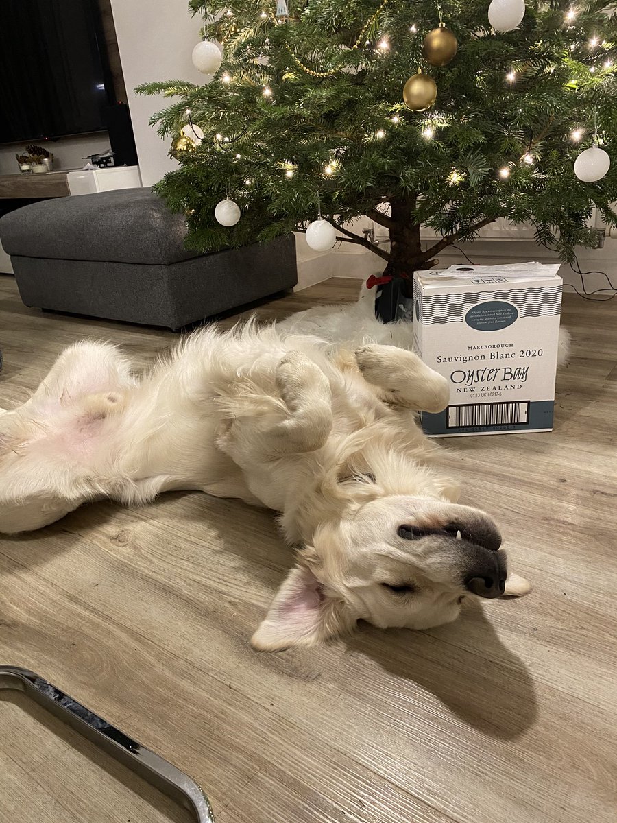 Daisy Garvey tweet media