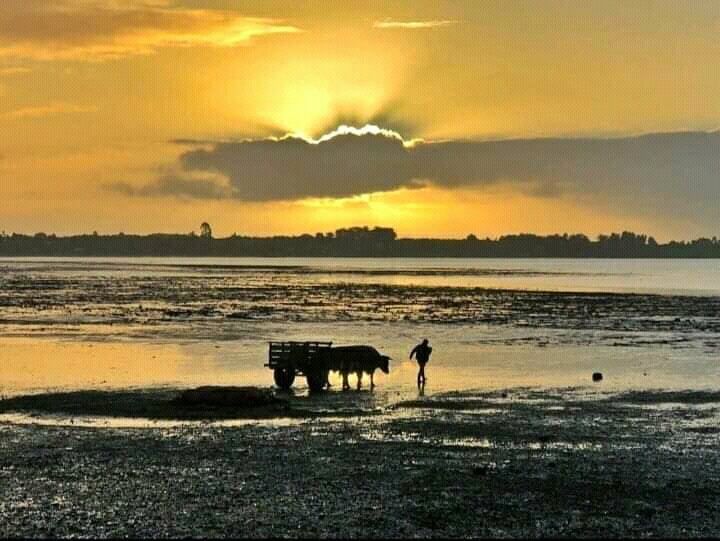 ChilweThe's tweet photo. Caulin.

Ancud Chiloé #colores #chiloé #atardecer #Fotos #photo #photography #foteando #caulin #ancud https://t.co/T4eXdOHMgl