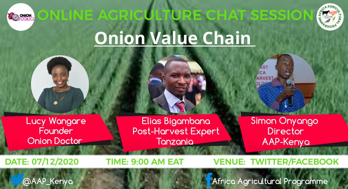 NAP_Africa's tweet image. Do you know that onions are eaten and grown in more countries than any other vegetable? Join our facilitators on Monday 9:00 AM EAT as they share their insight on Onion Value Chain #OnionDoctor
#OnlineAgricultureChat @AAP_Tanzania  @Lucy_wangary @BigambanaEng @Simon_Barrack