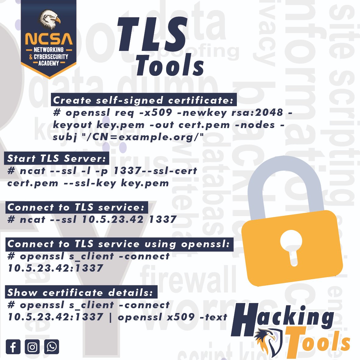 maltamir's tweet photo. #HackingTools Una pequeña ayuda para seguir los caminos del hacking.!!! #ncsa @ncsaec https://t.co/HObbIrpIJQ