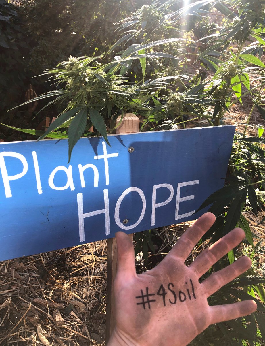 Dr. Bronner's tweet media