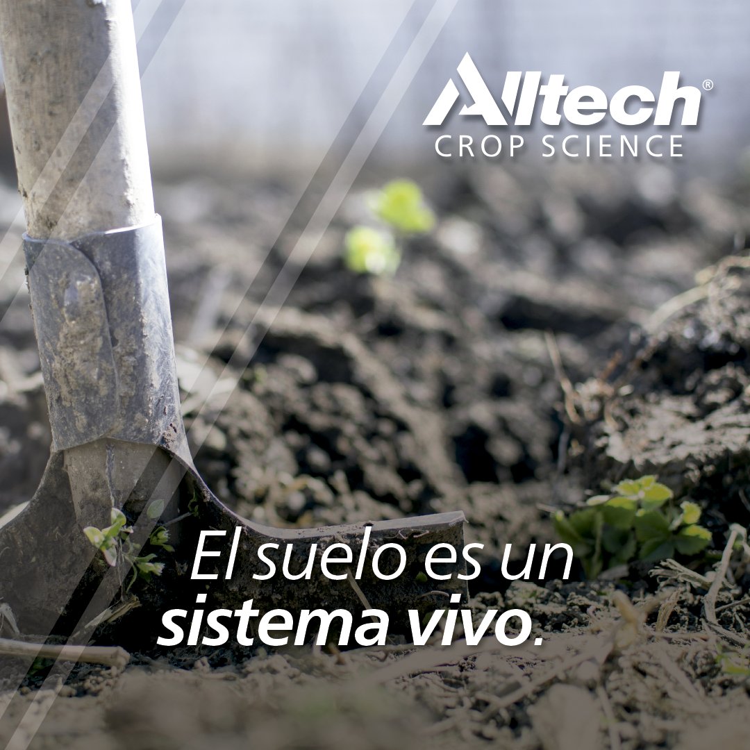 Alltech Spain tweet media