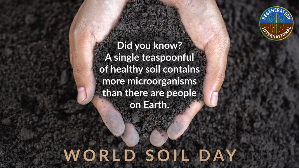 Healthy #soil is one of our most valuable resources. The best way to protect it and grow healthy food? #RegenerativeAgriculture 
#WorldSoilDay2020🌱