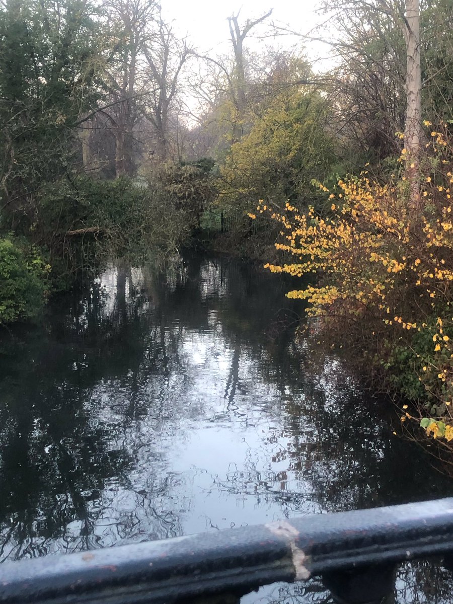 Elsie Owusu OBE (@elsie_owusu) on Twitter photo #London #lockdown ends in <a href="/theroyalparks/">The Royal Parks</a> beautiful #sunrise & frost-glazed leaves underfoot. #Gowalking. #London #lockdown ends in <a href="/theroyalparks/">The Royal Parks</a> beautiful #sunrise & frost-glazed leaves underfoot. #Gowalking.