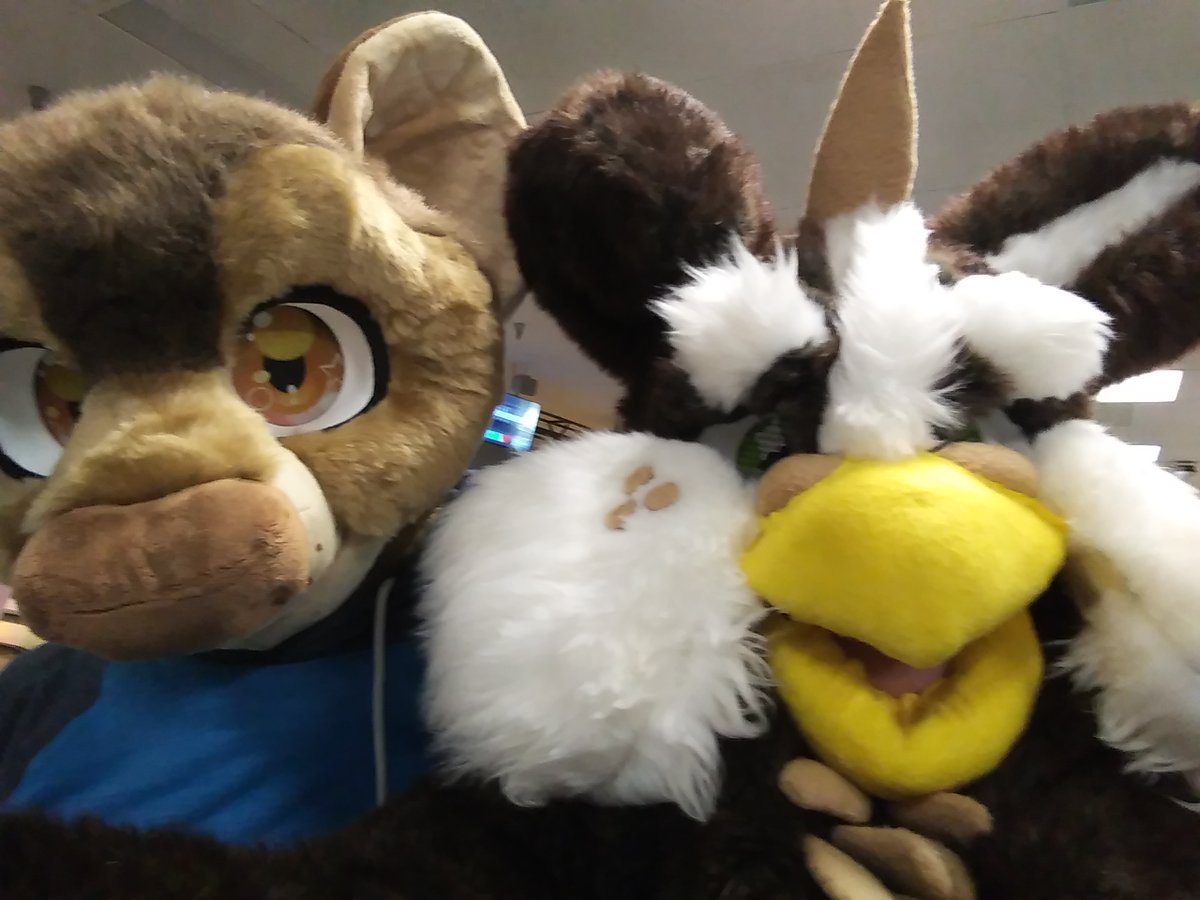 Bunali_Sau's tweet photo. Figured I would reminisce about the furmeets that had to be cancelled as well. 
I am happy we are all safe, I just miss seeing everyone!
@unsureifrat @PreciousNido @radiowolf01 @AyameHayashi 

#furryfandom #furry #fursuit #IndianaFurSociety #WhoosierFur #whoozfur #furryfandom2020 https://t.co/URSvP90EUH