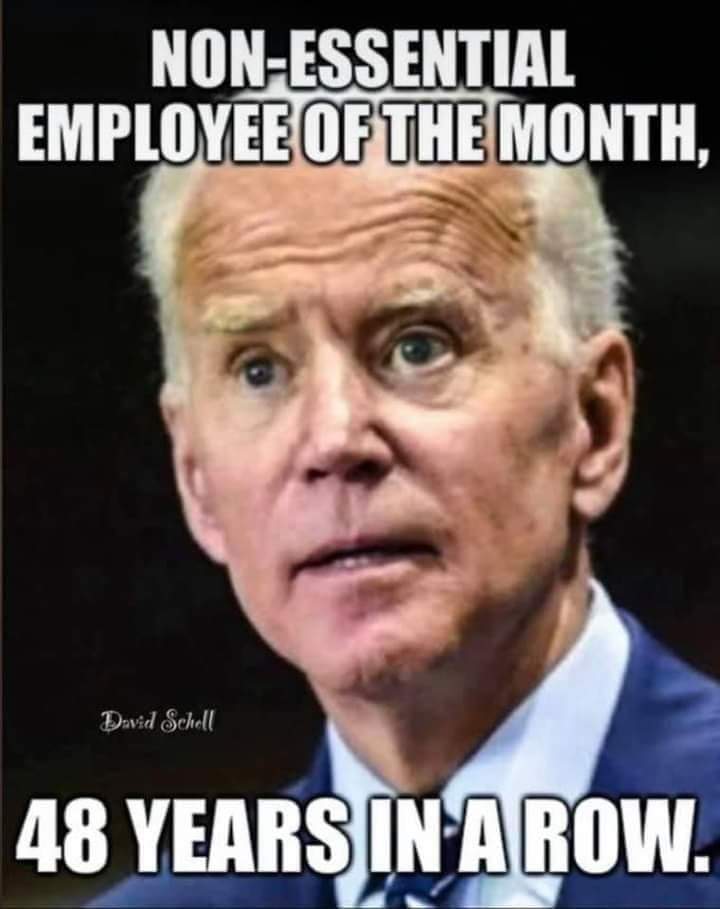 BestPrezEver73's tweet photo. @JoeBiden @neeratanden https://t.co/IwFeKzNM6H