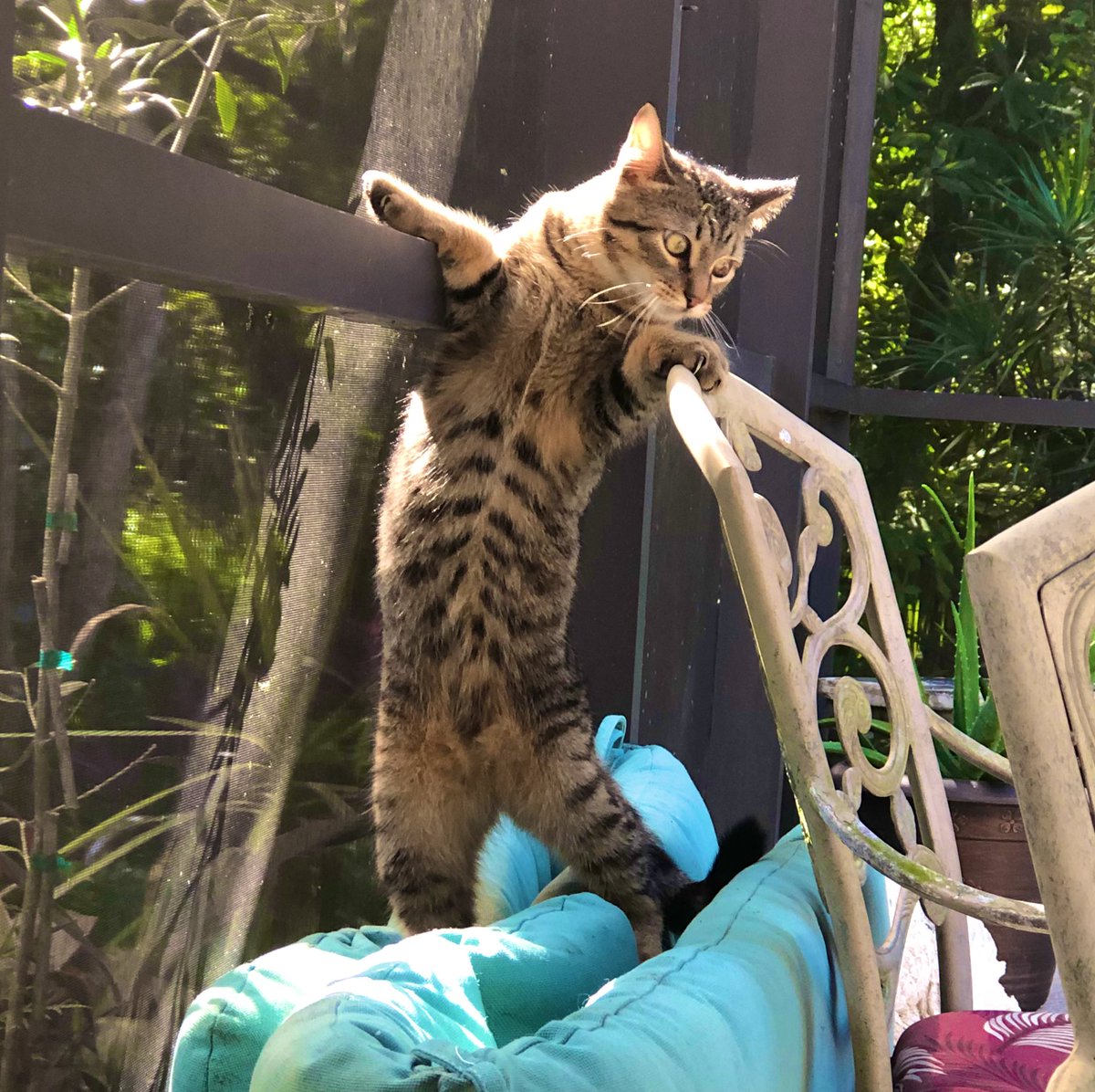 No cuter thing than this little guy:)