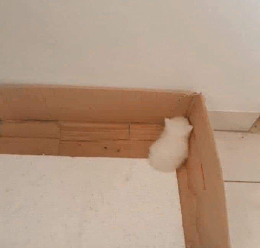 Ashley T. tweet media