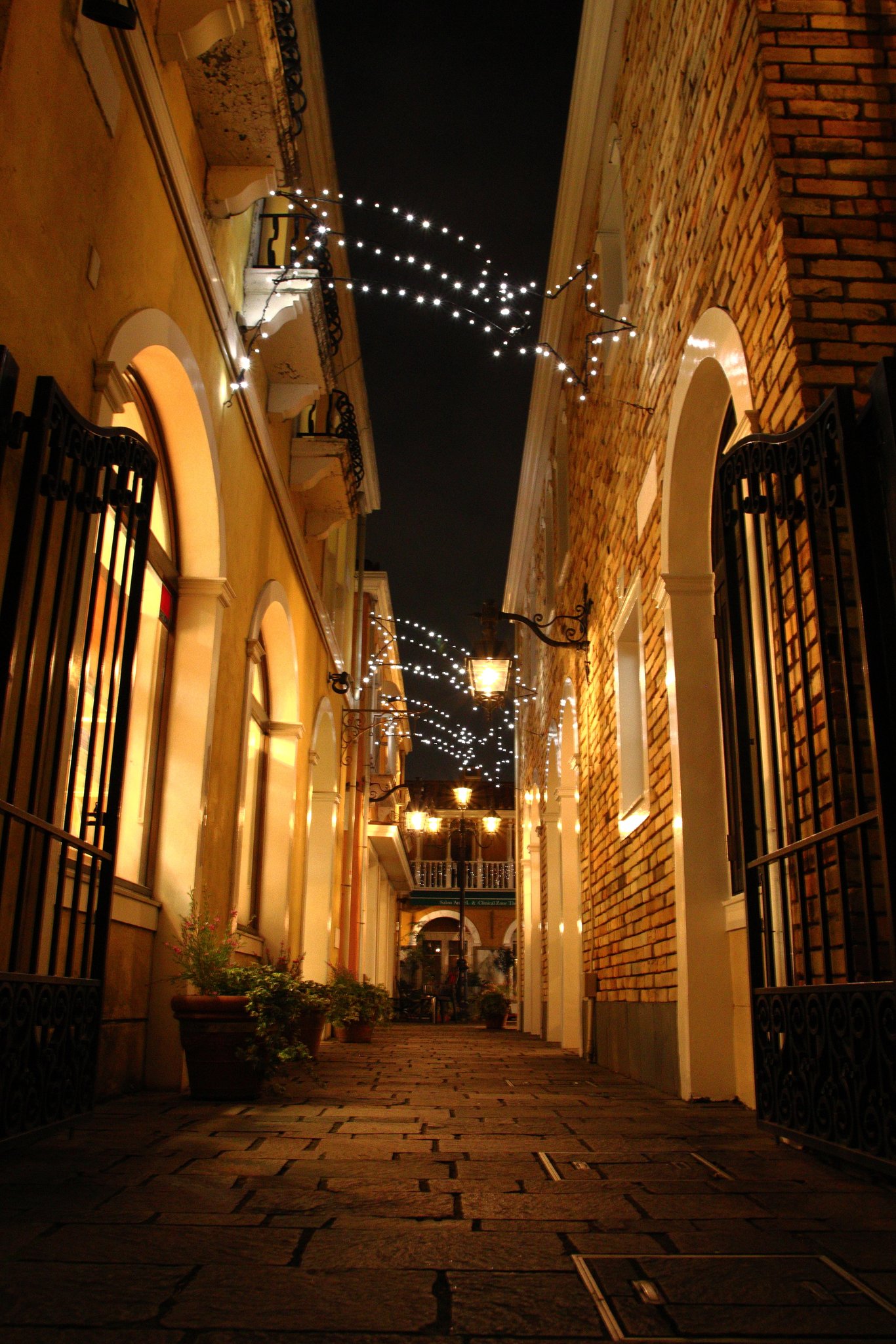 ラ ヴィータ自由が丘 Twitter Search Twitter