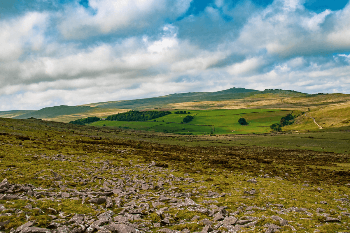 roamingspices's tweet photo. We have highlighted 10 of the best walks in Dartmoor National Park that will give you the opportunity to savour this wondrous landscape. Enjoy! #Dartmoor #dartmoornationalpark #tors #wistmanswood #lydfordgorge #guttertor #burratorreservoir #whitetor https://t.co/tVPWgtBKdr https://t.co/wDfapsLCgI