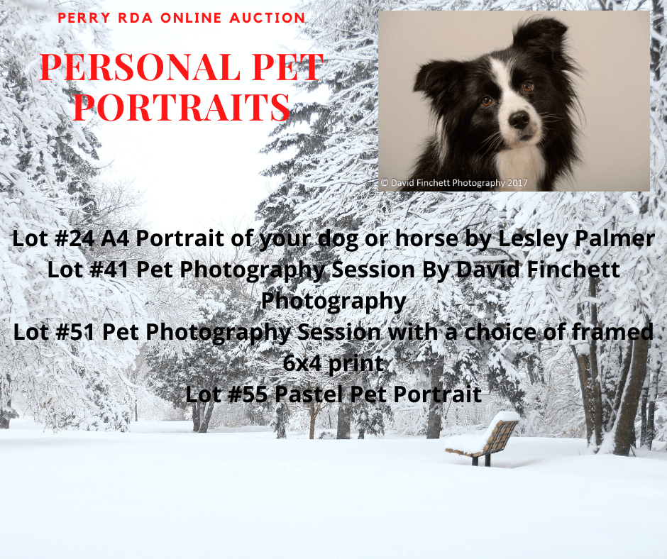 CavalierCentre's tweet photo. Another fab Christmas present idea. Visit our auction for these and more! https://t.co/1B1Hacd74I #charity #pets #support local https://t.co/GOZdOESs5e
