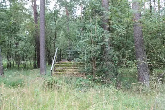 ตามสัญญา มาเล่าเรื่องบันไดปริศนา ซึ่งตั้งอยู่ผิดที่ผิดทาง มาอยู่กลางป่า มีคำอธิบายตั้งแต่เรื่องราวของเจ้าหน้าที่ค้นหาและช่วยเหลือคนหลงป่า ที่มักจะเจอบันไดนี้ คำบอกเล่าของคนทั่วไป ไปจนถึงคนที่เชื่อว่าเป็นฝีมือของมนุดต่างดาว

อ่านต่อในเมนชั่นเลย 📁🔍