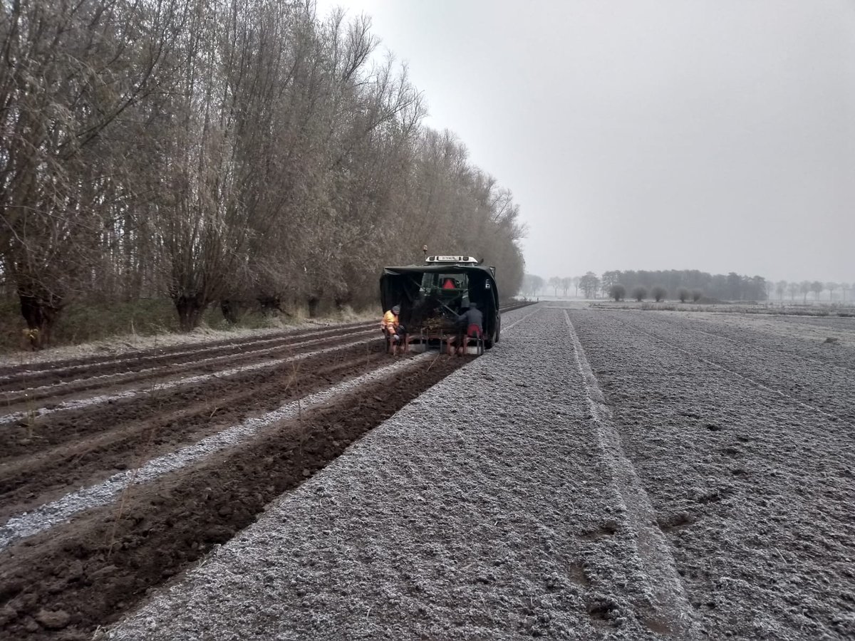 Afgelopen week de grondbewerking gedaan en daarna bosplantsoen aangeplant, project Loobeek in Venray iov <a href="/BeersHoogeloon/">Van Beers Hoogeloon</a>