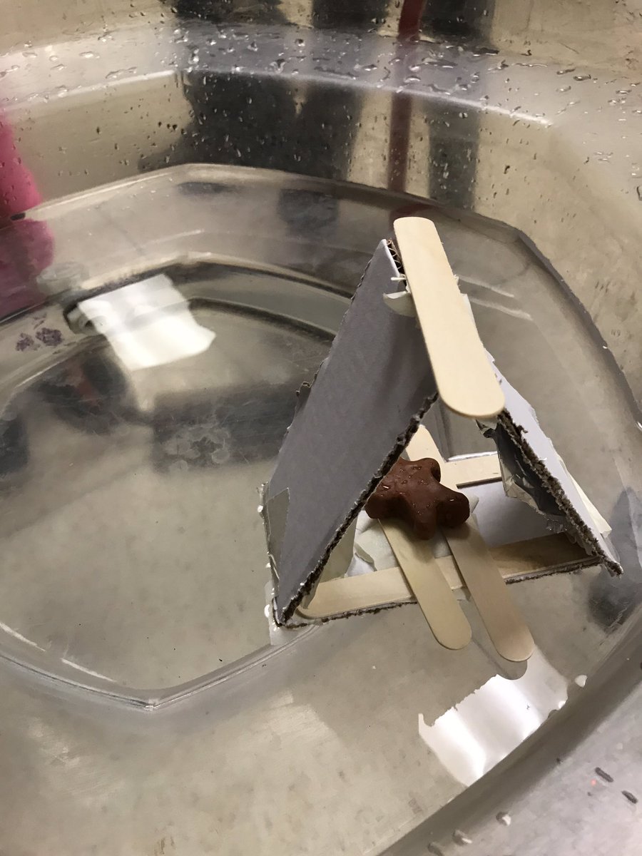 MsAyala_tdsb's tweet photo. Friday’s STEM challenge - Ss @FairbankPS designed and built a raft to help the gingerbread person cross the river #problemsolving #perseverance #primaryteam https://t.co/qrrWFPGHBa