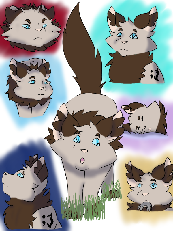 draws_jordan's tweet photo. Drew some more poses as me as a cat. I really like how each turned out. https://t.co/vXVLBSFd5B