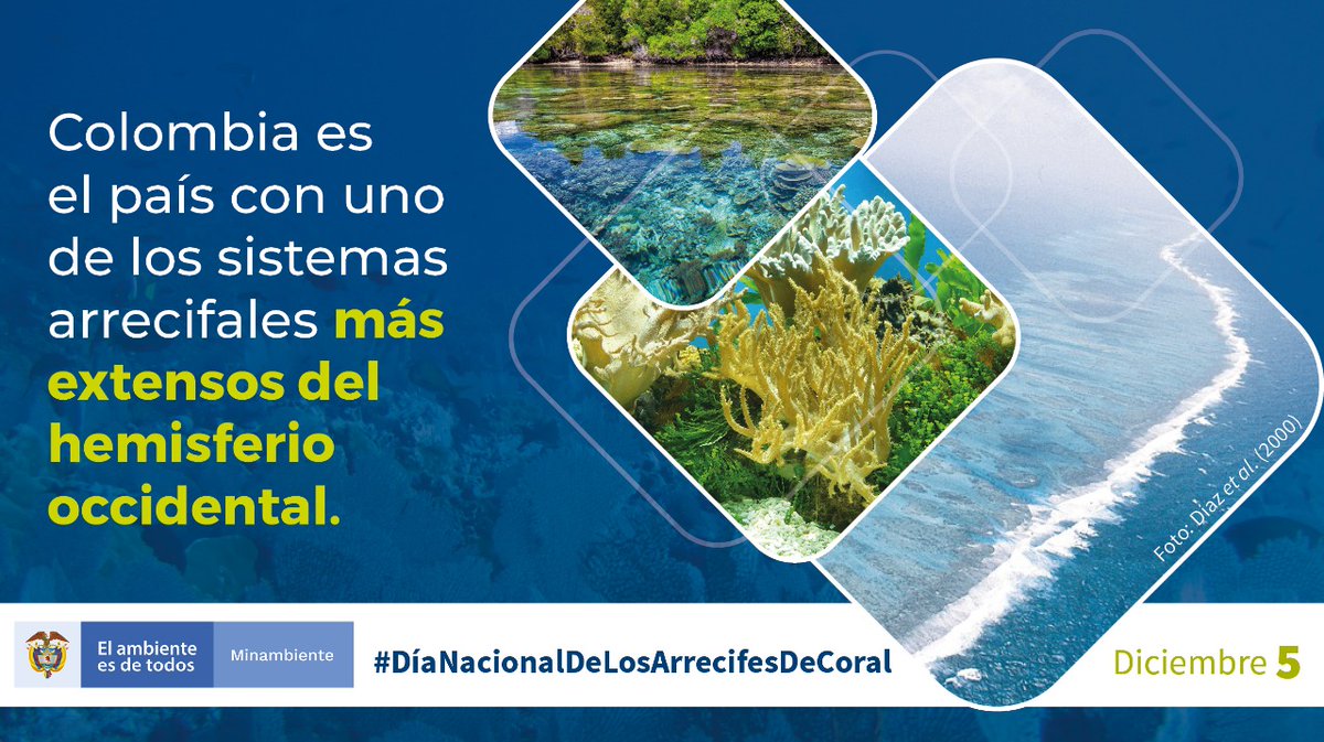 MinAmbienteCo's tweet photo. Contamos con el Parque Nacional Natural Corales de Profundidad, el cual es 100% submarino y forma parte de las 59 áreas protegidas del Sistema de @ParquesColombia. #DíaNacionalDeLosArrecifesDeCoral https://t.co/Mf8aX8wARM