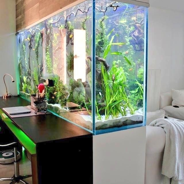 Aquarium sekat ruangan