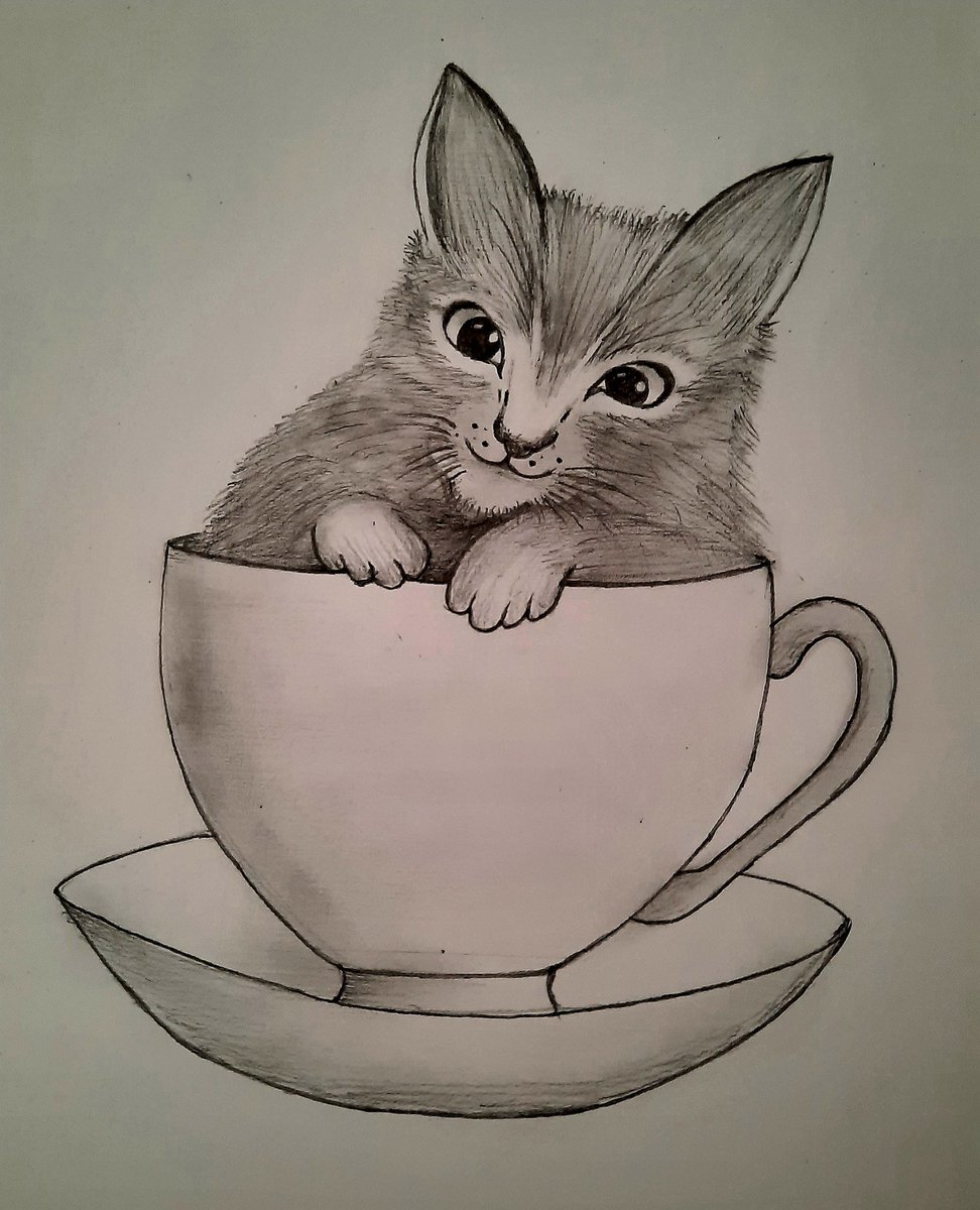 MyCanvas7's tweet photo. Beautiful pencil Sketch 😻😻

#painting #art #drawing #artvsartist2020 #artistsontwitter https://t.co/8L4ZrhbXwe