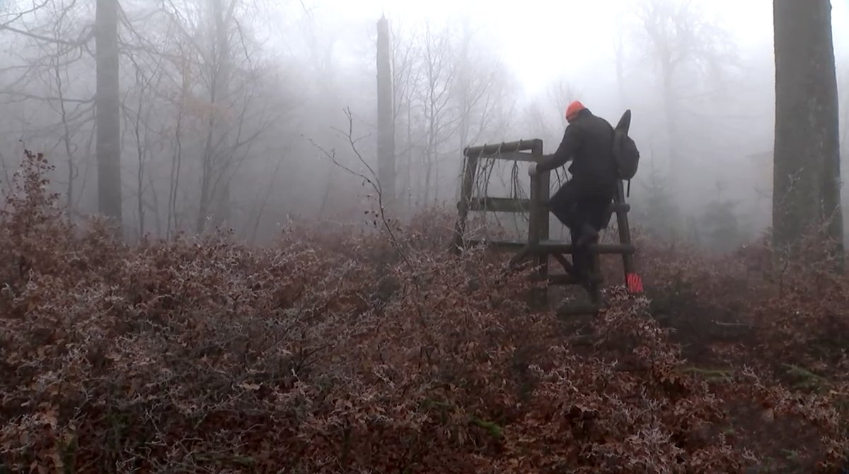 OUTDChannel's tweet photo. The hunt is on in Germany. See what turns up on this foggy forest morning in the stand . . .
Driven Hunts 4:30PM ET
#WhatGetsYouOutdoors #drivenhunts #huntgermany #germanyhunting https://t.co/t9Ev5DM6Yp