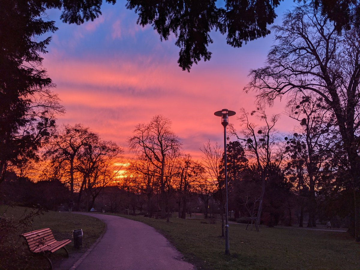 🛰🌍🌊Dr Hayley Evers-King 🇪🇺🇬🇧🇿🇦🇩🇪 tweet media