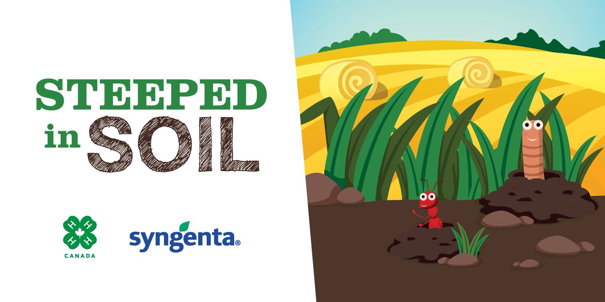 4-H Canada 🍀🇨🇦 tweet media