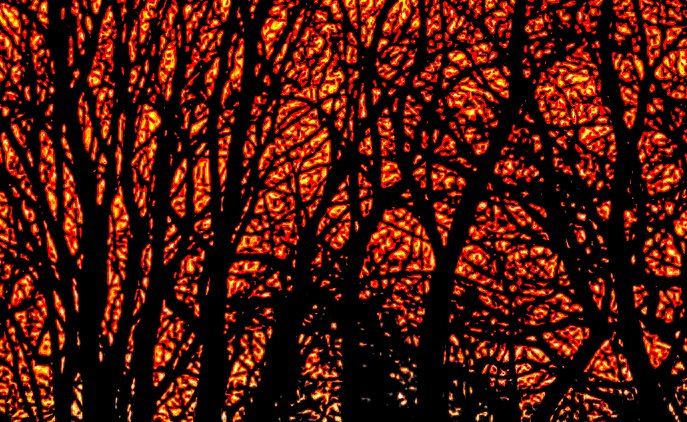 Thick fog creeps over trees. Hard seasoned wood, smoky notes drift. Winter warmed by fire.