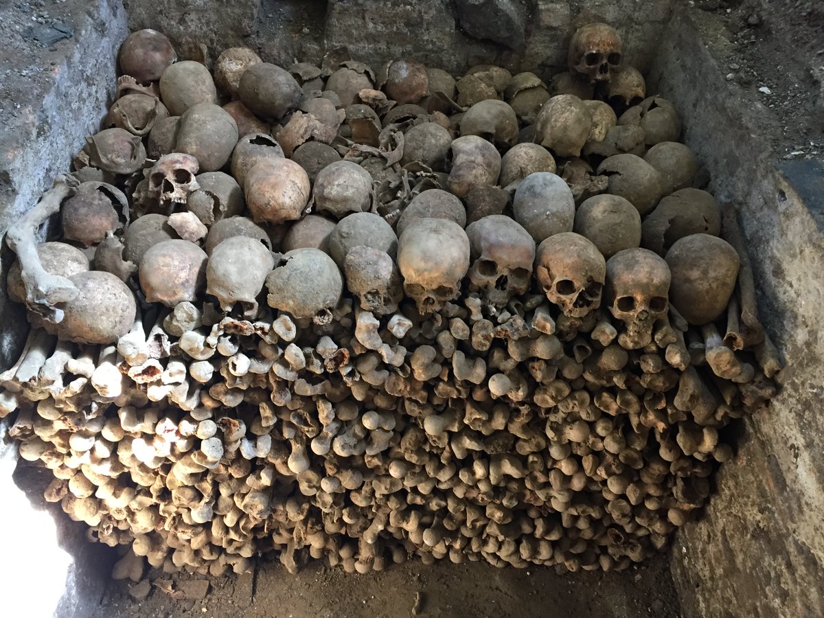 MattBearClark's tweet photo. Photos from an excavation site in Cornwall; The Church was undergoing work, and human remains were reinterred into a crypt, now sealed beneath the floor. A unique opportunity to see what really lurks beneath a small parish church.  #archaeology #cornwall #skeletons #plague https://t.co/vodhjp02Re